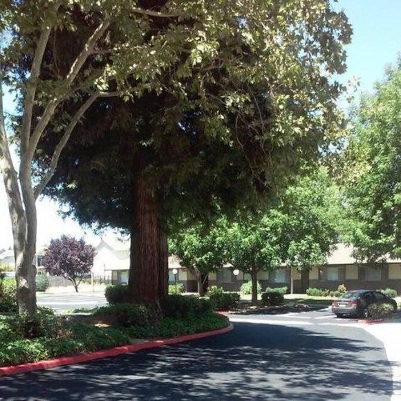 Meet your Posher, Luis - Picture 1 of 1